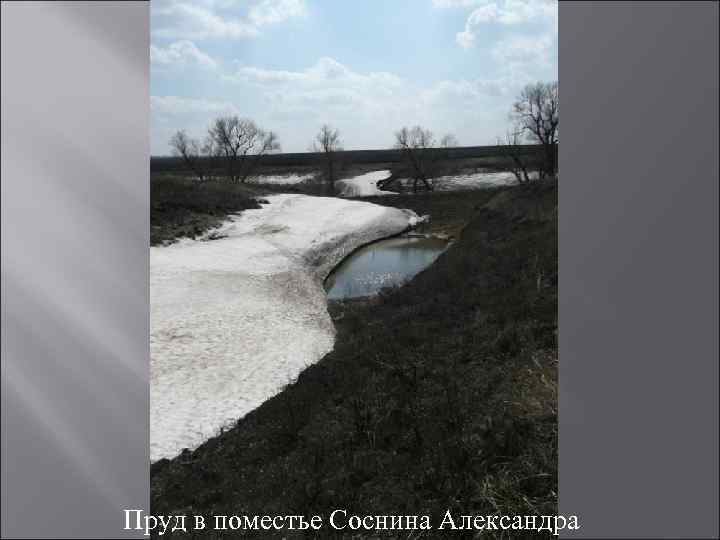 Пруд в поместье Соснина Александра 