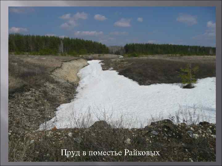 Пруд в поместье Райковых 