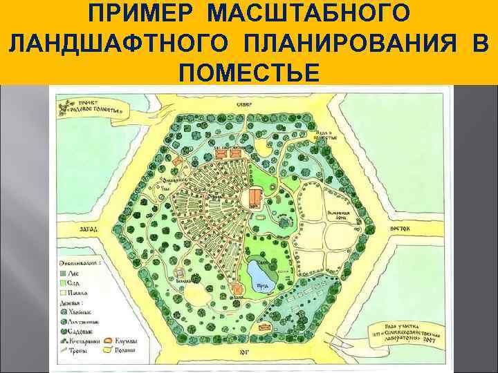 ПРИМЕР МАСШТАБНОГО ЛАНДШАФТНОГО ПЛАНИРОВАНИЯ В ПОМЕСТЬЕ 