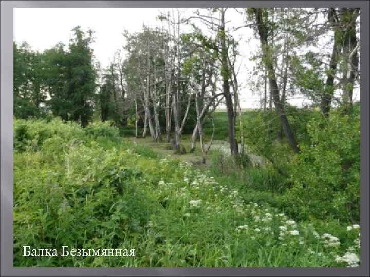 Балка Безымянная 