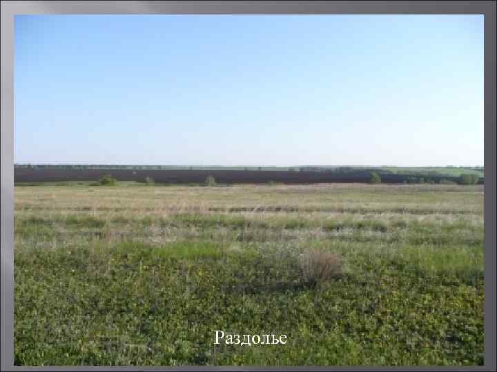 Раздолье 
