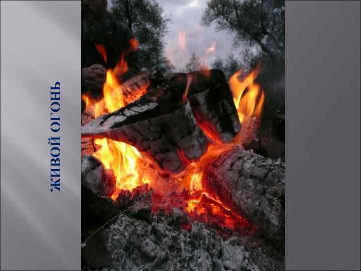 ЖИВОЙ ОГОНЬ 