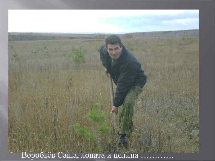 Воробьёв Саша, лопата и целина ………… 