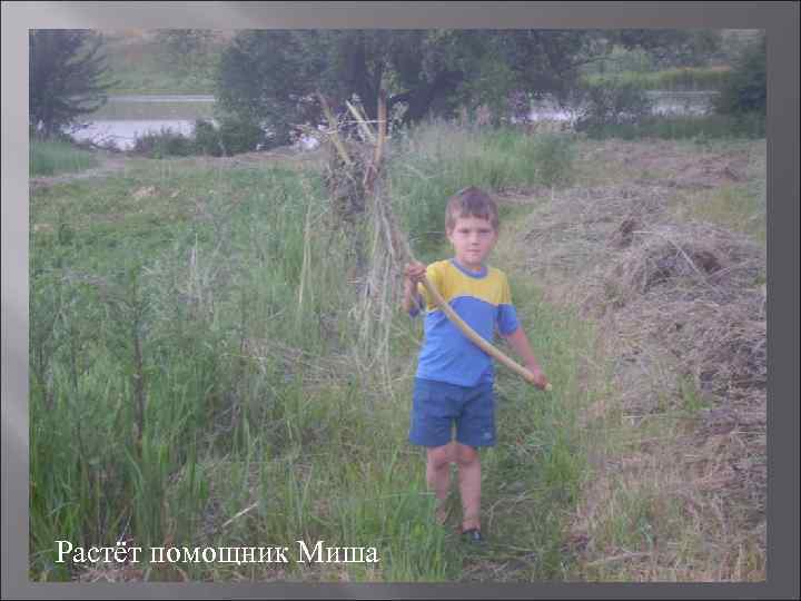 Растёт помощник Миша 