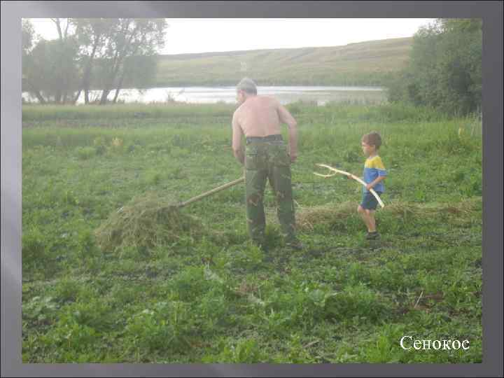Сенокос 