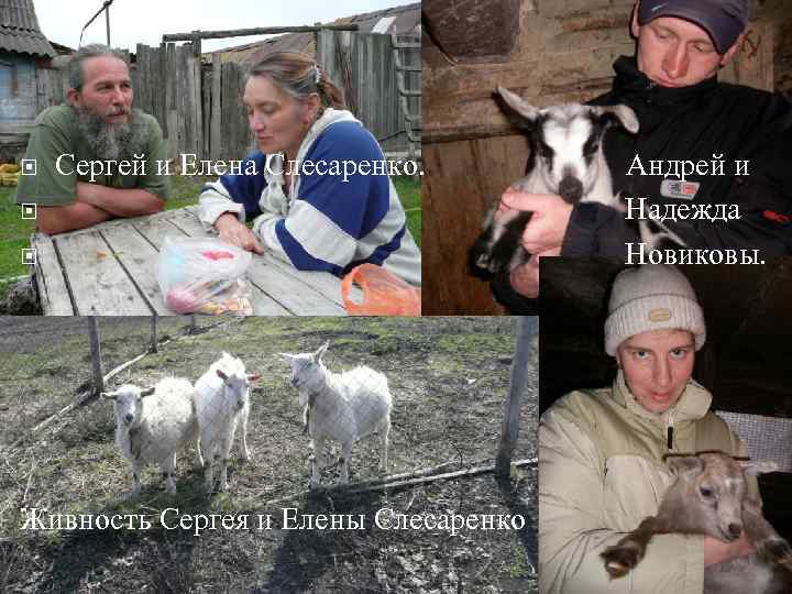  Сергей и Елена Слесаренко. Живность Сергея и Елены Слесаренко Андрей и Надежда Новиковы.