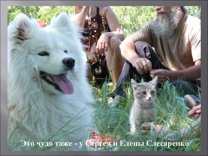 Это чудо тоже - у Сергея и Елены Слесаренко 