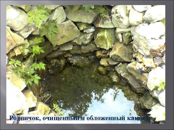 Родничок, очищенный и обложенный камнем 