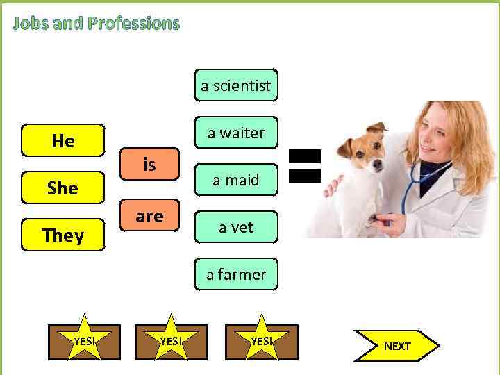 Jobs and Professions a scientist He She They a waiter is a maid are