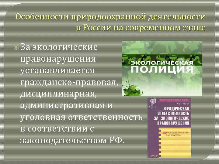 Реферат: История развития природоохранной деятельности в России