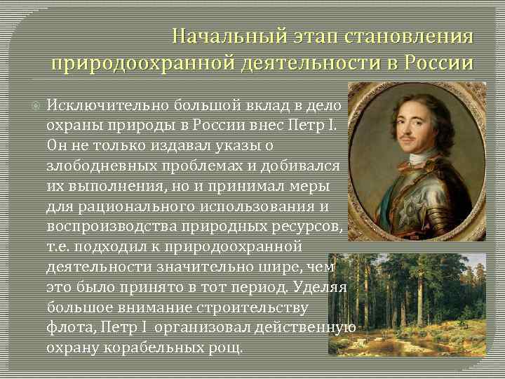 Реферат: История развития природоохранной деятельности в России