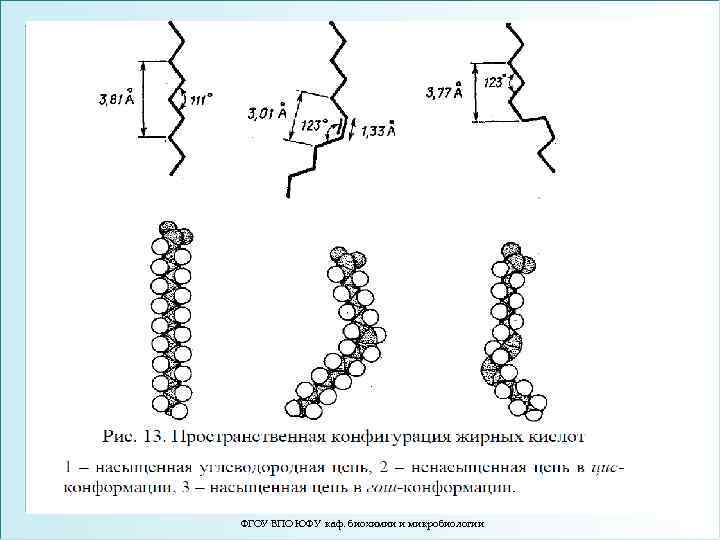 ФГОУ ВПО ЮФУ каф. биохимии и микробиологии 