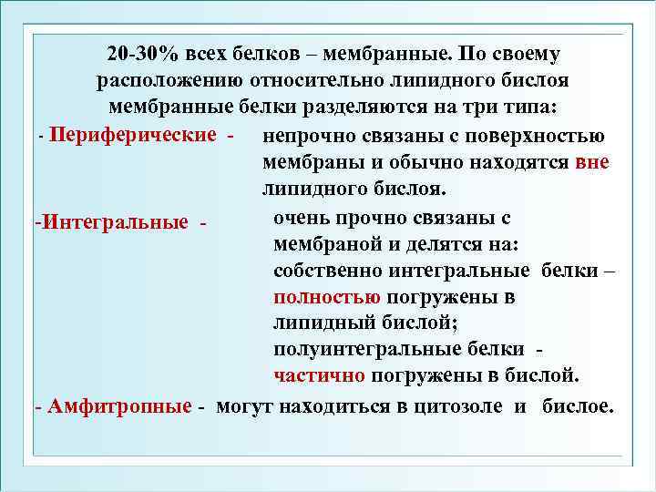 20 -30% всех белков – мембранные. По своему расположению относительно липидного бислоя мембранные белки
