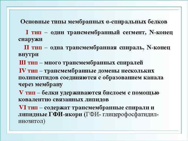 Основные типы мембранных α-спиральных белков I тип – один трансмембранный сегмент, N-конец снаружи II