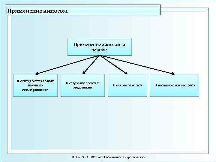 Применение липосом. Применение липосом и везикул В фундаментальных научных исследованиях В фармакологии и медицине