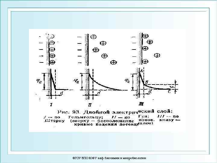 ФГОУ ВПО ЮФУ каф. биохимии и микробиологии 