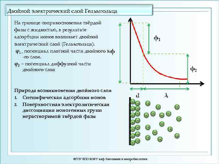 Двойной электрический слой Гельмгольца На границе соприкосновения твёрдой фазы с жидкостью, в результате адсорбции
