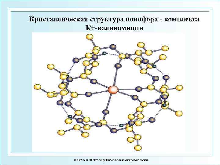 Кристаллическая структура ионофора - комплекса К+-валиномицин ФГОУ ВПО ЮФУ каф. биохимии и микробиологии 
