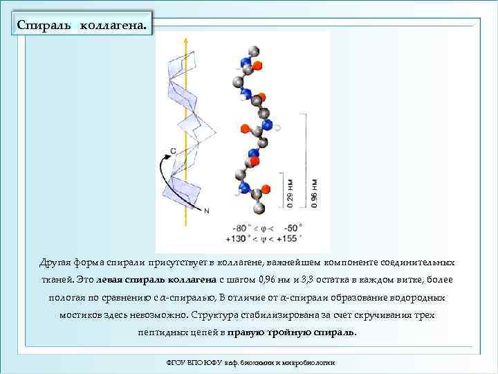 Спираль коллагена. Другая форма спирали присутствует в коллагене, важнейшем компоненте соединительных тканей. Это левая