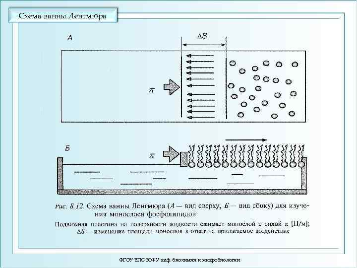 Схема ванны Ленгмюра ФГОУ ВПО ЮФУ каф. биохимии и микробиологии 