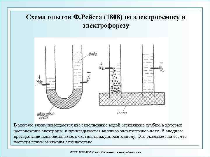 Схема опытов Ф. Рейсса (1808) по электроосмосу и электрофорезу В мокрую глину помещаются две