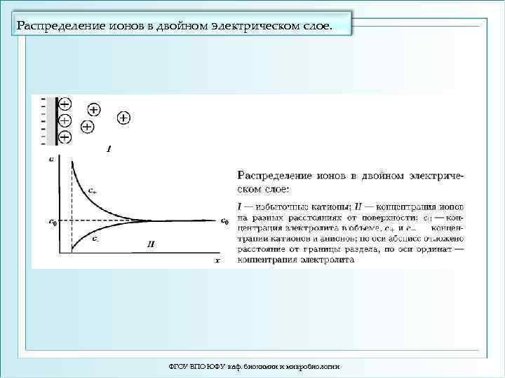 Распределение ионов в двойном электрическом слое. ФГОУ ВПО ЮФУ каф. биохимии и микробиологии 