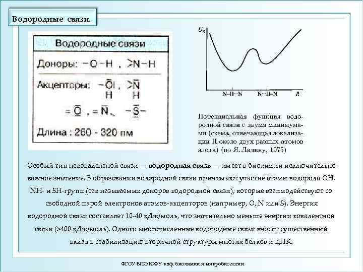 Водородные связи. Особый тип нековалентной связи — водородная связь — имеет в биохимии исключительно