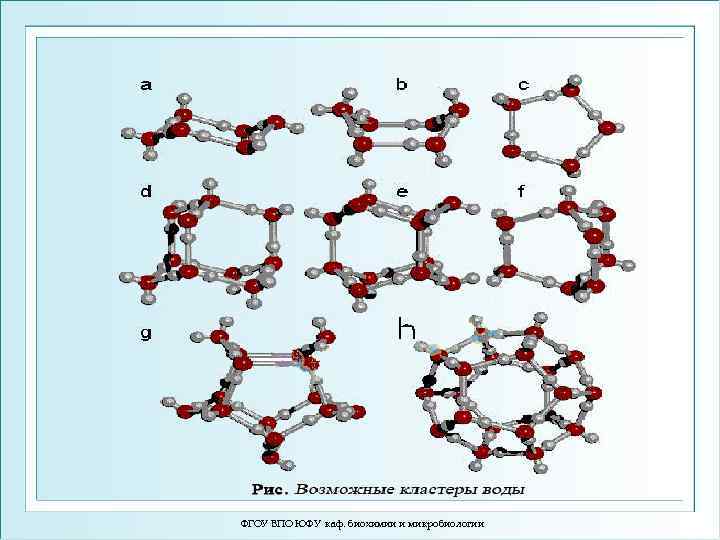 ФГОУ ВПО ЮФУ каф. биохимии и микробиологии 
