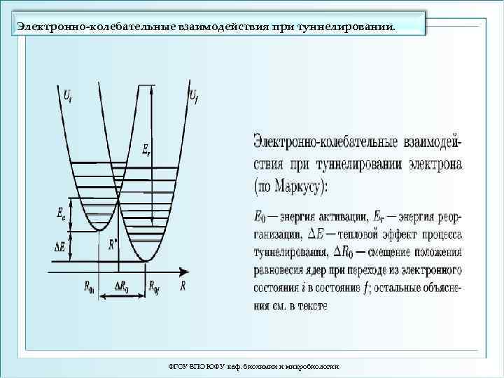 Электронно-колебательные взаимодействия при туннелировании. ФГОУ ВПО ЮФУ каф. биохимии и микробиологии 