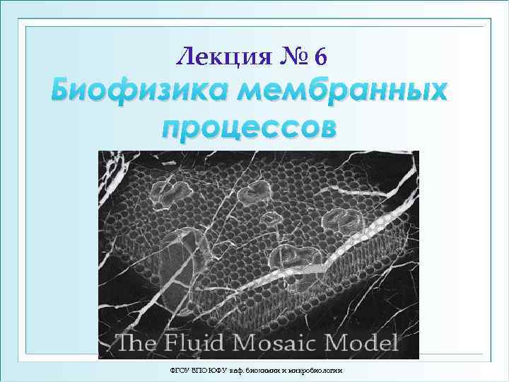 Лекция № 6 Биофизика мембранных процессов ФГОУ ВПО ЮФУ каф. биохимии и микробиологии 