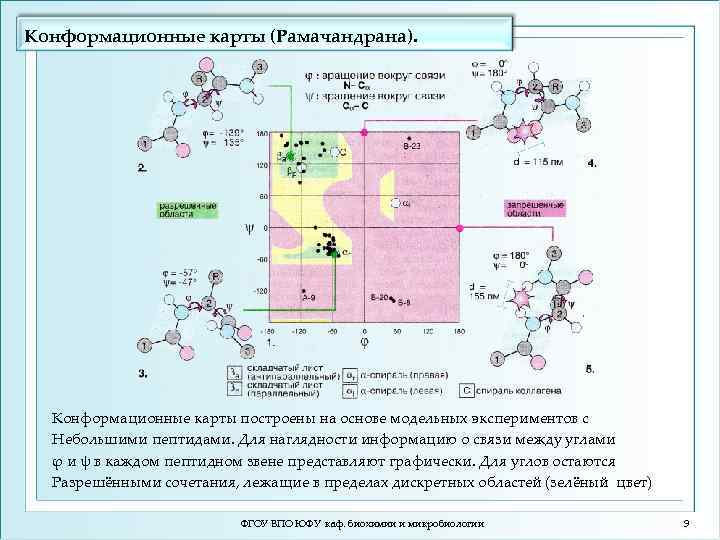 Карта рамачандрана для аминокислот