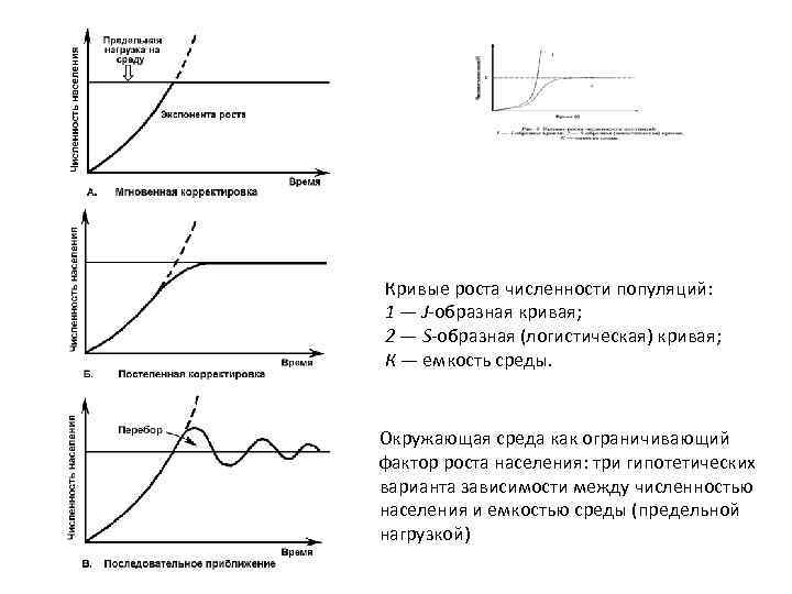 Фактор ограничивающий рост популяции