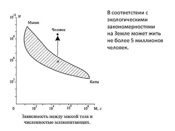В соответствии с экологическими закономерностями на Земле может жить не более 5 миллионов человек.
