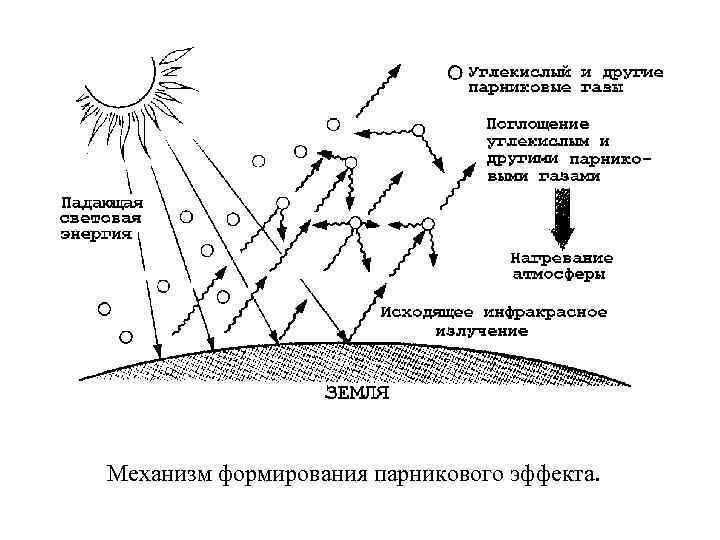 Механизм формирования парникового эффекта. 