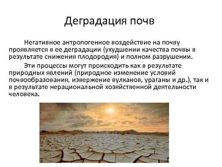 Деградация почв Негативное антропогенное воздействие на почву проявляется в ее деградации (ухудшении качества почвы