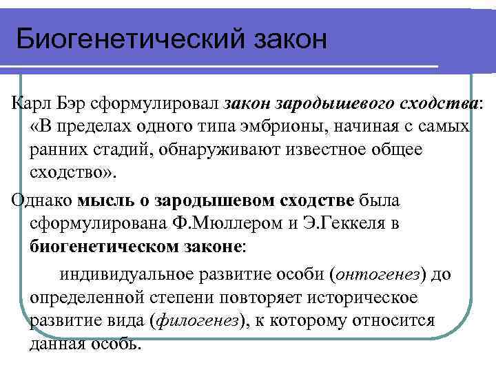 Биогенетический закон сформулировали. Закон биогенетического сходства. Закон зародышевого сходства и биогенетический закон. Биогенетический закон Бэра. Биогенетический закон Карла Бэра.