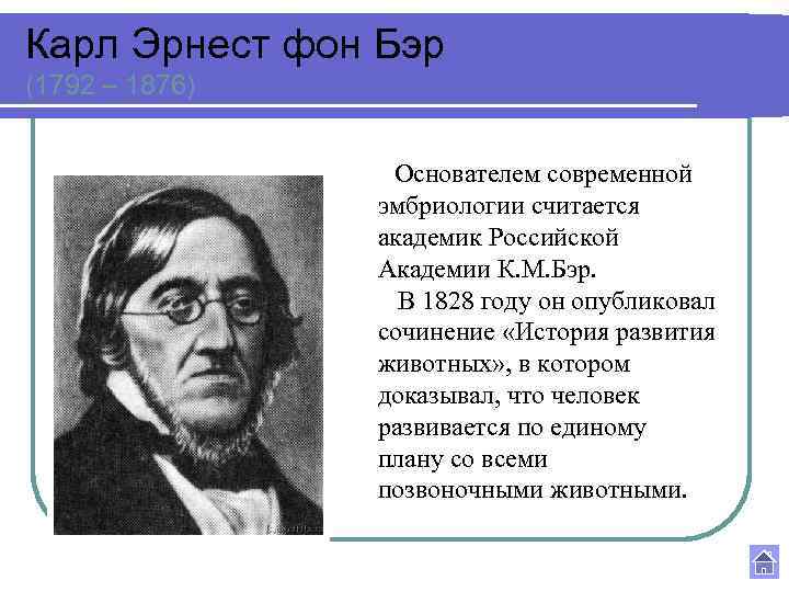 Карл Эрнест фон Бэр (1792 – 1876) Основателем современной эмбриологии считается академик Российской Академии