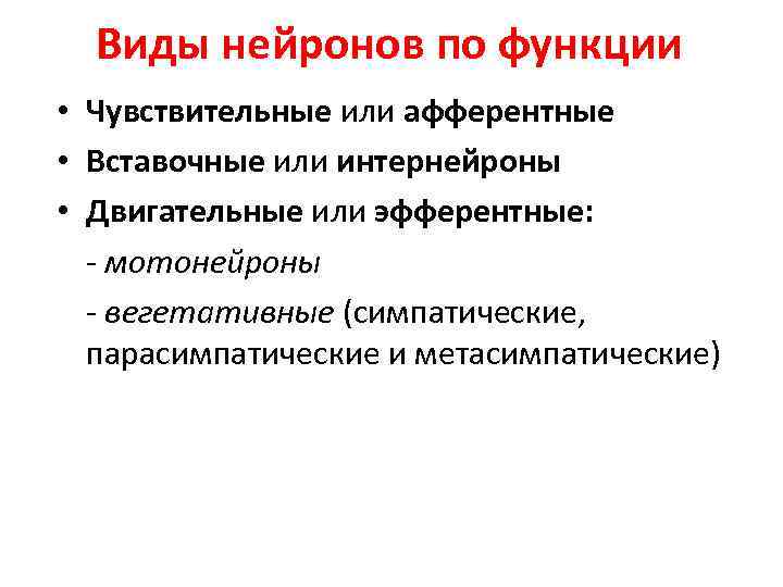 Виды нейронов по функции • Чувствительные или афферентные • Вставочные или интернейроны • Двигательные