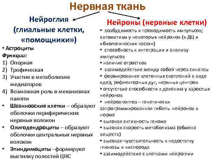 Нервная ткань Нейроглия (глиальные клетки, «помощники» ) Нейроны (нервные клетки) • возбудимость и проводимость