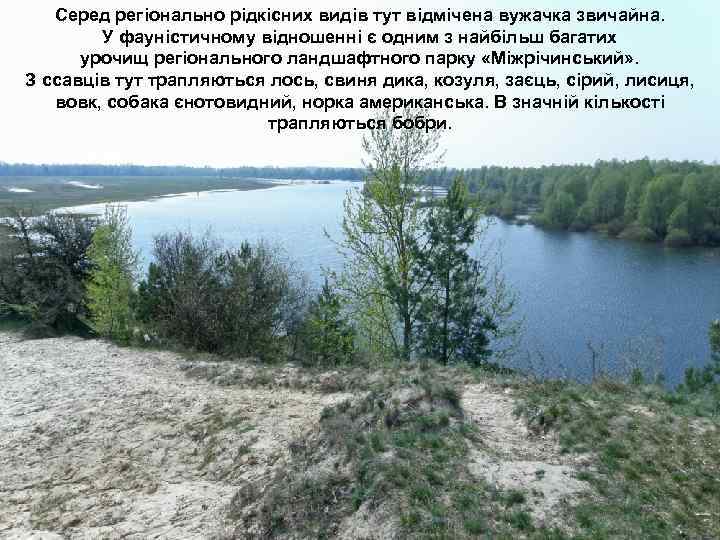 Серед регіонально рідкісних видів тут відмічена вужачка звичайна. У фауністичному відношенні є одним з