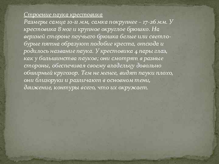 Строение паука крестовика Размеры самца 10 -11 мм, самка покрупнее – 17 -26 мм.