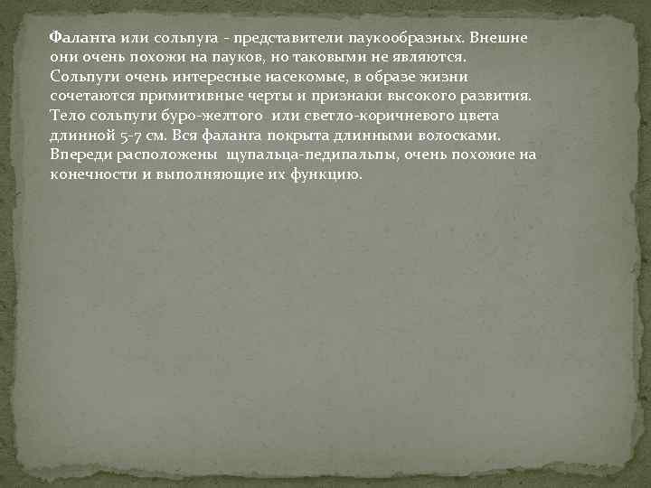 Фаланга или сольпуга - представители паукообразных. Внешне они очень похожи на пауков, но таковыми