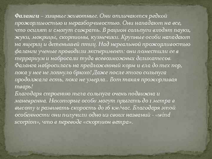 Фаланги – хищные животные. Они отличаются редкой прожорливостью и неразборчивостью. Они нападают на все,