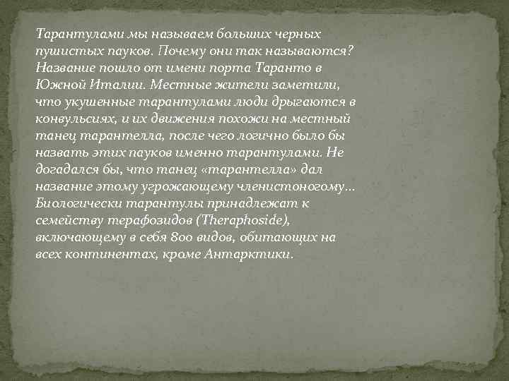 Тарантулами мы называем больших черных пушистых пауков. Почему они так называются? Название пошло от