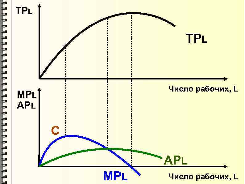 TPL Число рабочих, L MPL APL С APL MPL Число рабочих, L 