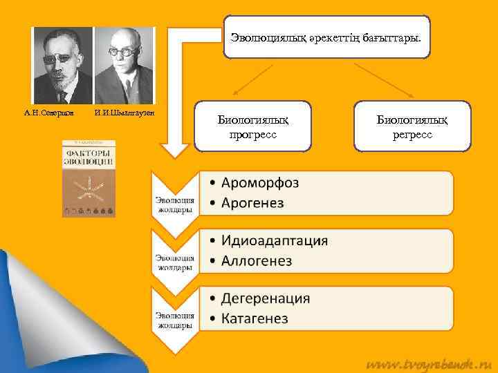 Эволюциялық әрекеттің бағыттары. А. Н. Северцов И. И. Шмалгаузен Биологиялық прогресс Биологиялық регресс 