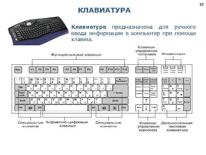 Клавишу введите код. Схема соединения кнопок клавиатуры компьютера. Клавиатура, система ввода чертёж. Дополнительная клавиатура.