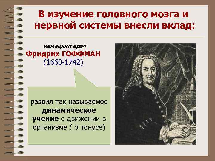 В изучение головного мозга и нервной системы внесли вклад: немецкий врач Фридрих ГОФФМАН (1660