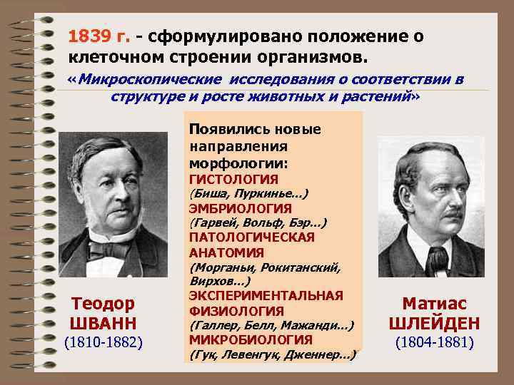 1839 г. - сформулировано положение о клеточном строении организмов. «Микроскопические исследования о соответствии в