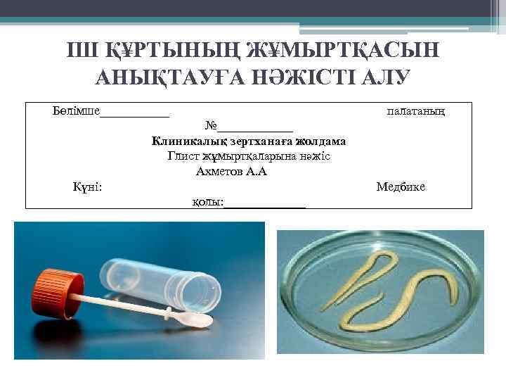 ІШ Қ¥РТЫНЫҢ Ж¥МЫРТҚАСЫН АНЫҚТАУҒА НӘЖІСТІ АЛУ Бөлімше______ палатаның №______ Клиникалық зертханаға жолдама Глист жұмыртқаларына